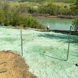 Property near sacramento after hydro seeding