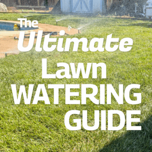 A sacramento lawn with proper year-round watering