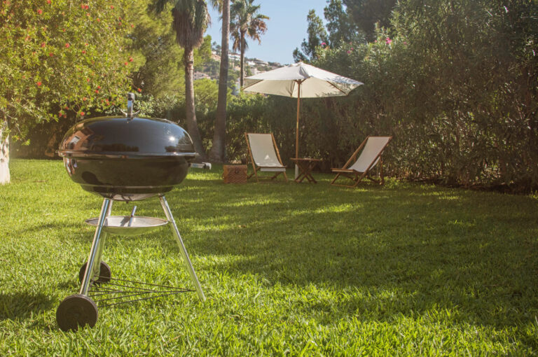 Backyard lawn in Sacramento county