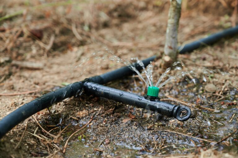 drip irrigation running in the winder in sacramento.jpg