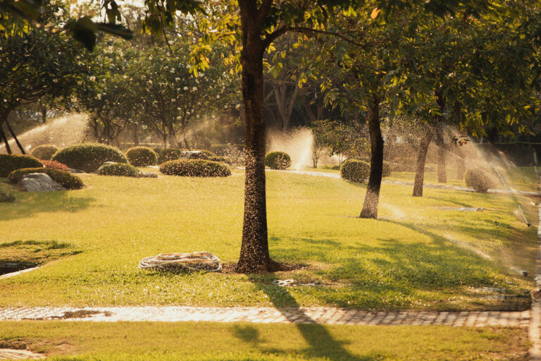 sprinklers running on a lawn in downtown folsom