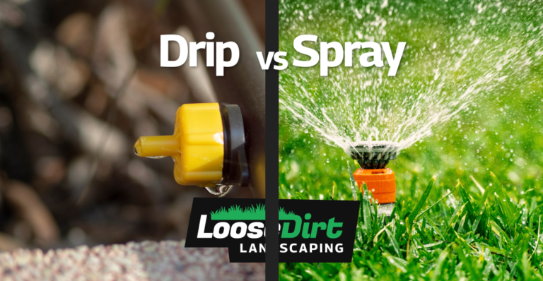 Comparison of drip irrigation and spray irrigating