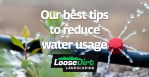 Loose dirt specializes in reducing water usage