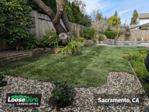 Results of aeration by Loose Dirt - 5