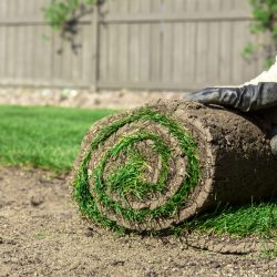 fresh sod being installed in Granite Bay