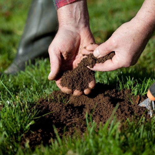 loose dirt tech taking a soil sample if folsom